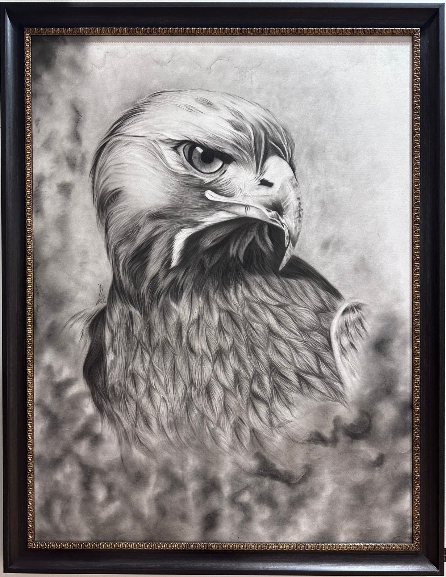 Arabian Falcon