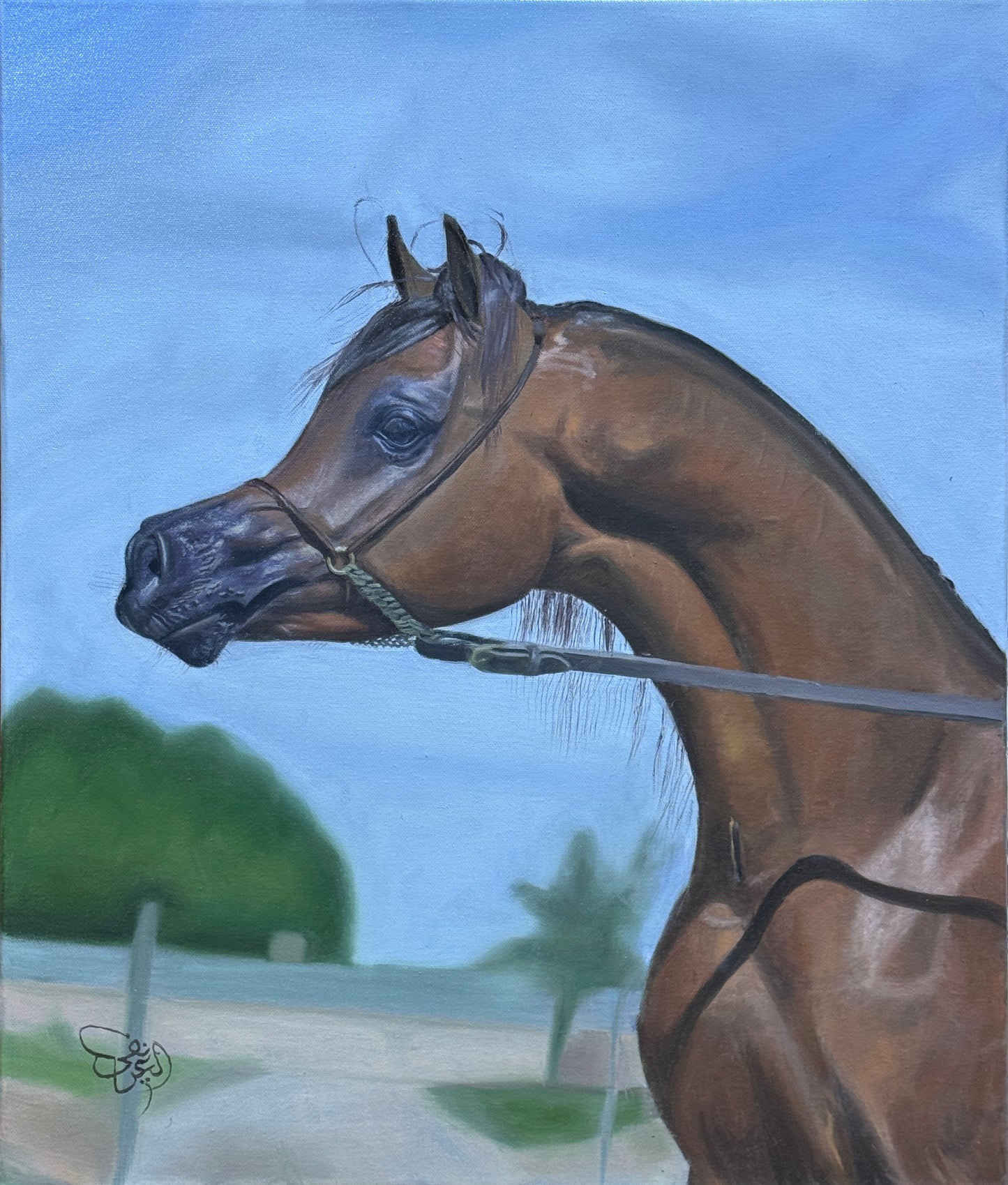الخيل العربي