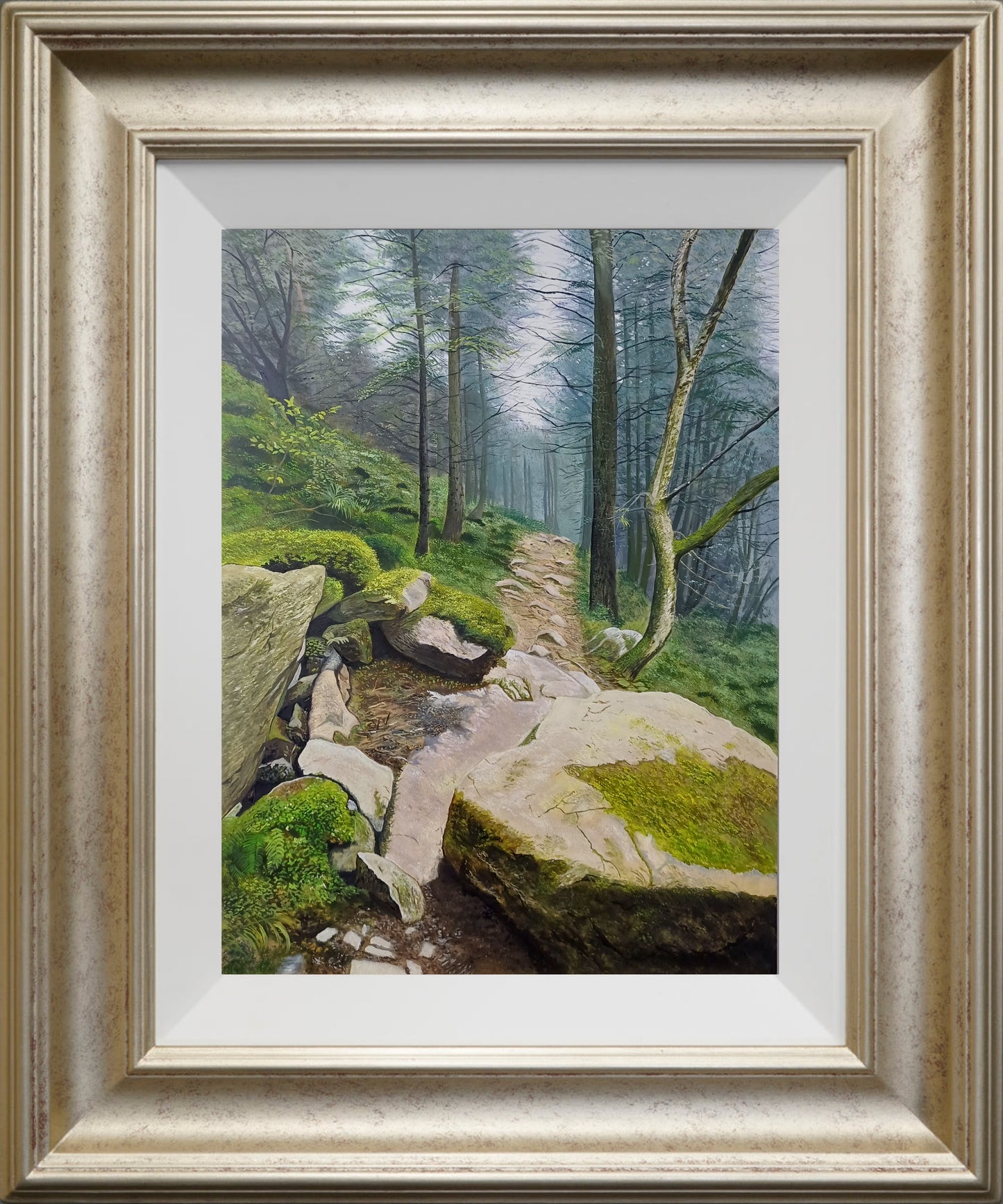 غابة أثيرية