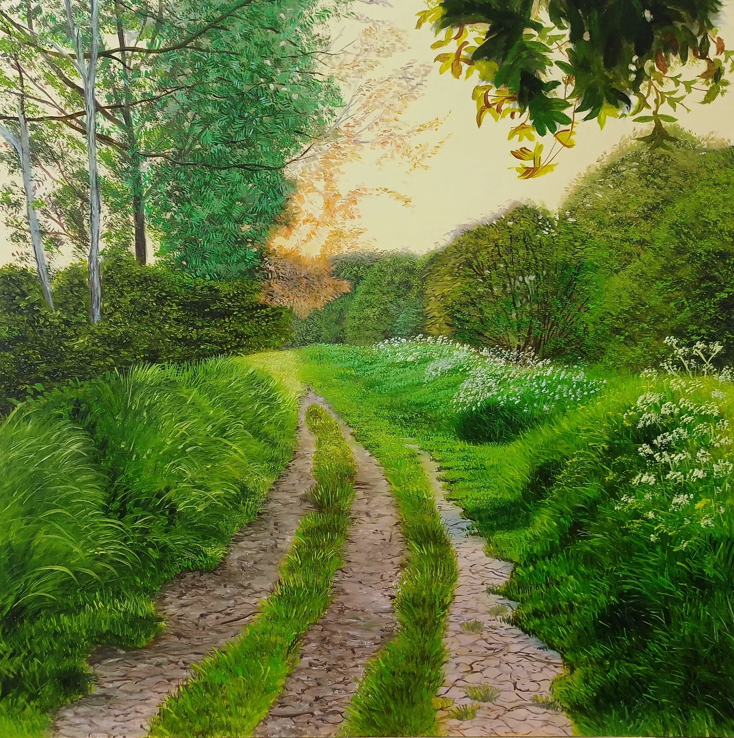 Quiet gravel and grass path