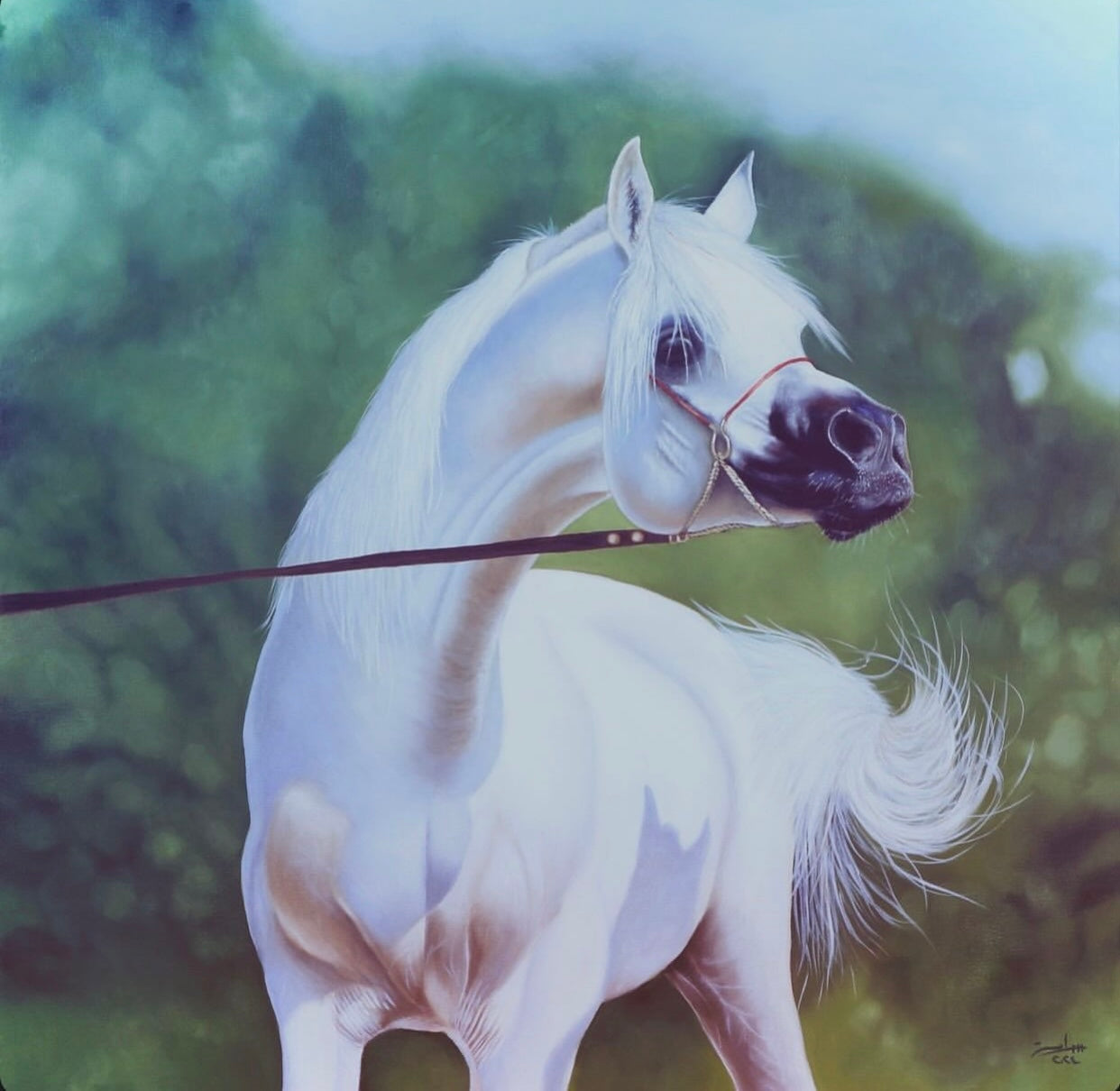 Purity