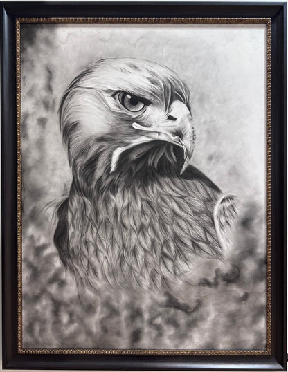 Arabian Falcon