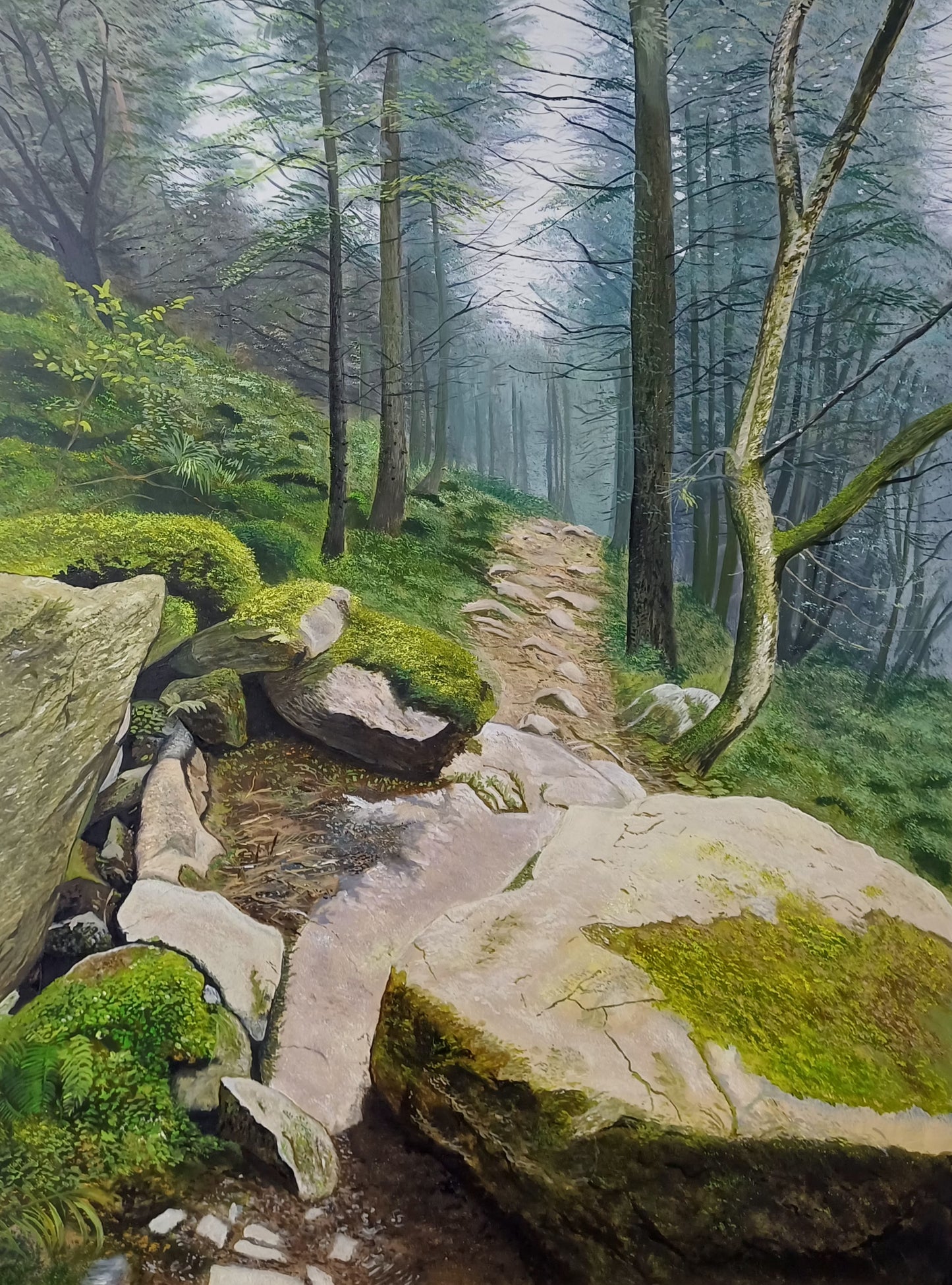 Ethereal Forest