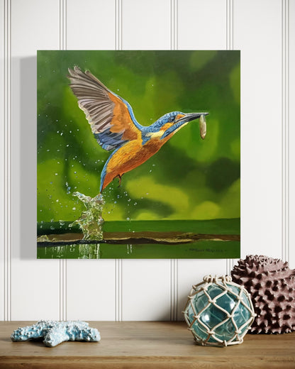 Kingfisher