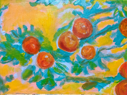 Clementine trail