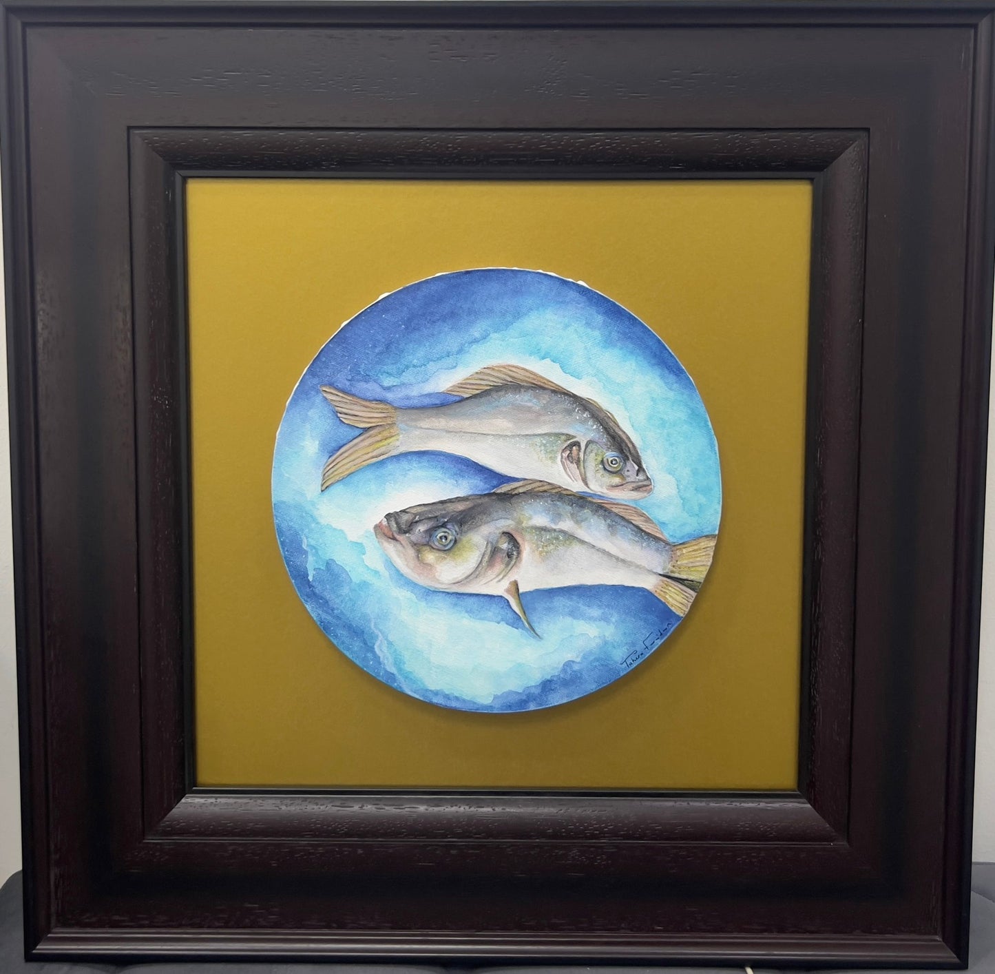 Fish Drift Dream