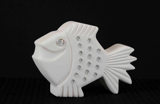 Bahraini Fish-6