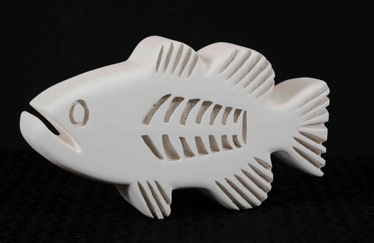 Bahraini Fish-15