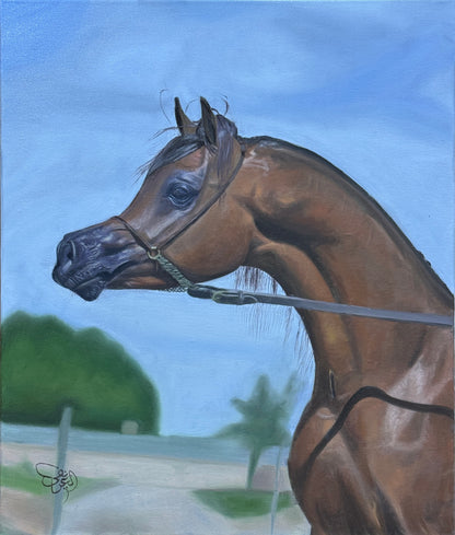 الخيل العربي