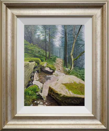 Ethereal Forest