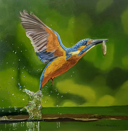 Kingfisher