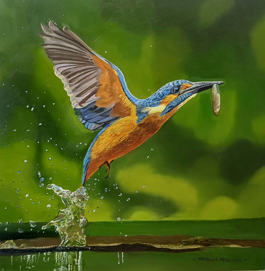 Kingfisher