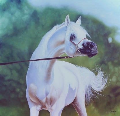 Purity