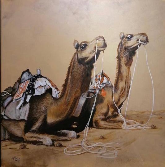 Camels