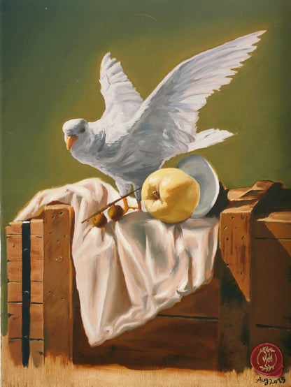 The White Dove