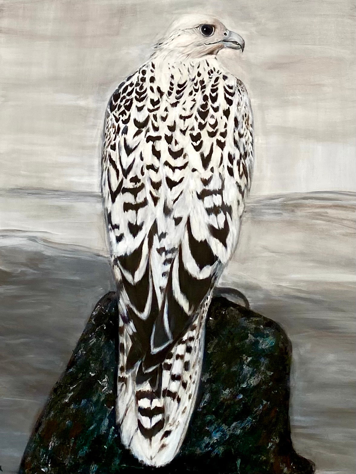 White Gyrfalcon
