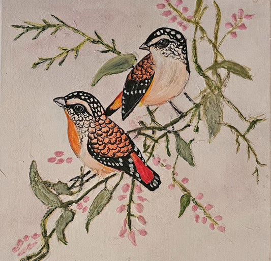 طيور الطبيعة