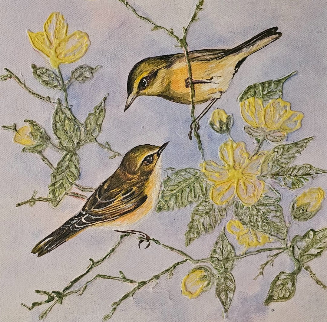 Birds in the nature (2)