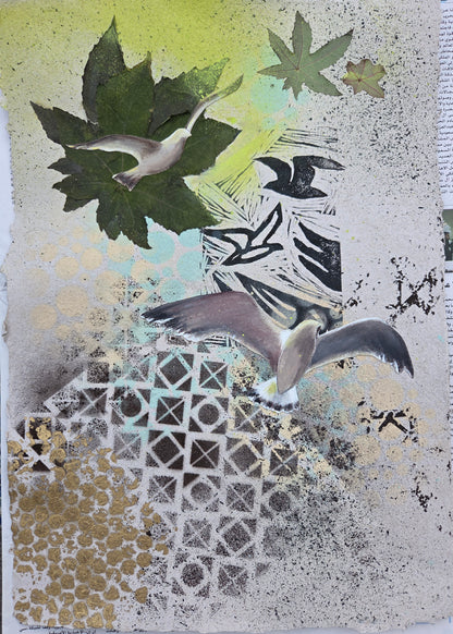 Seagulls 1