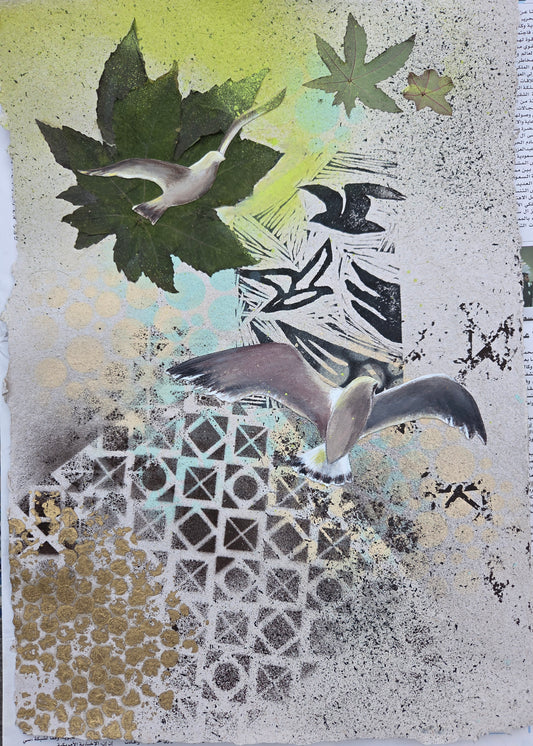 Seagulls 1