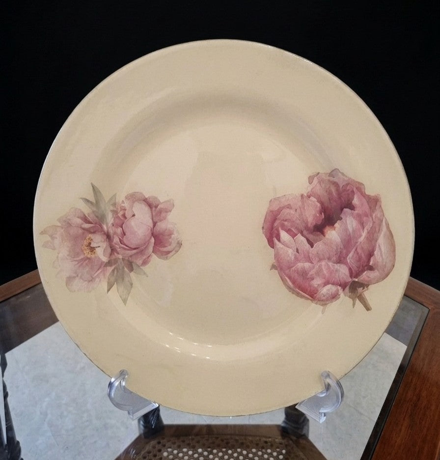 Peonies - 2